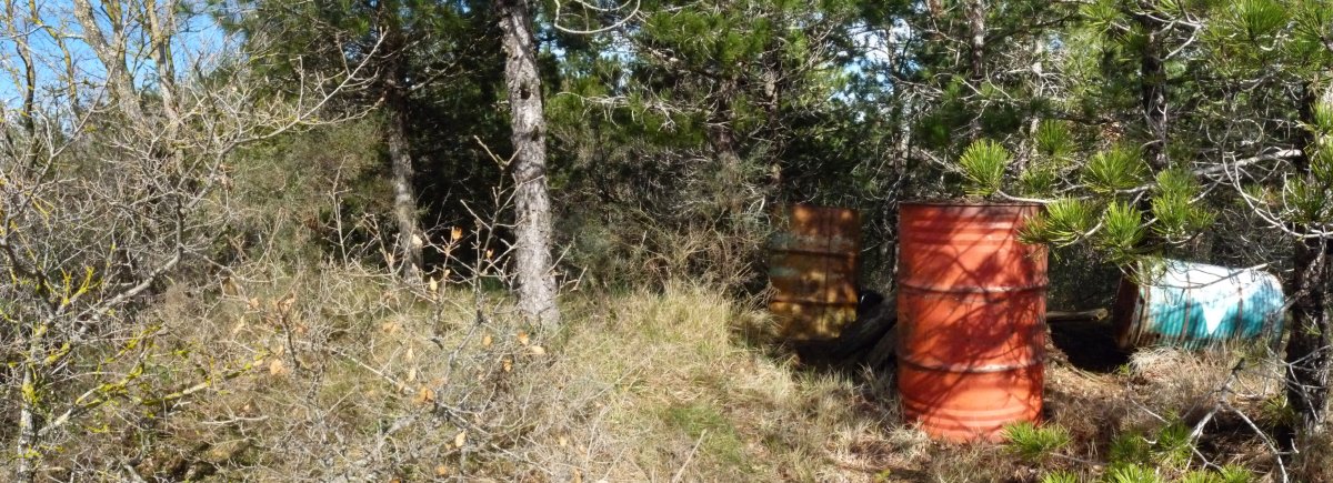 Gailurra, zaborrez beteta