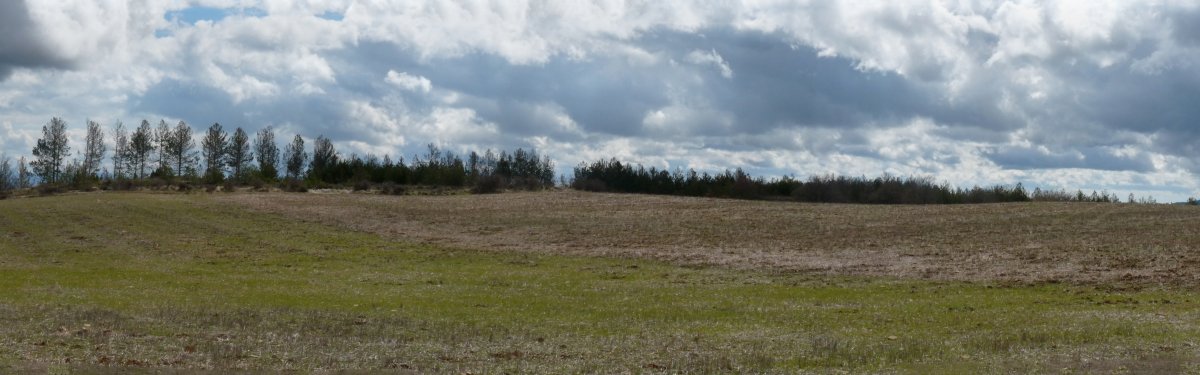 Otabera mendiko gainaldea