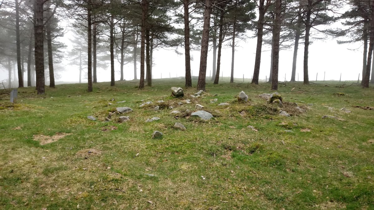 Iturzurigaña trikuharria 4