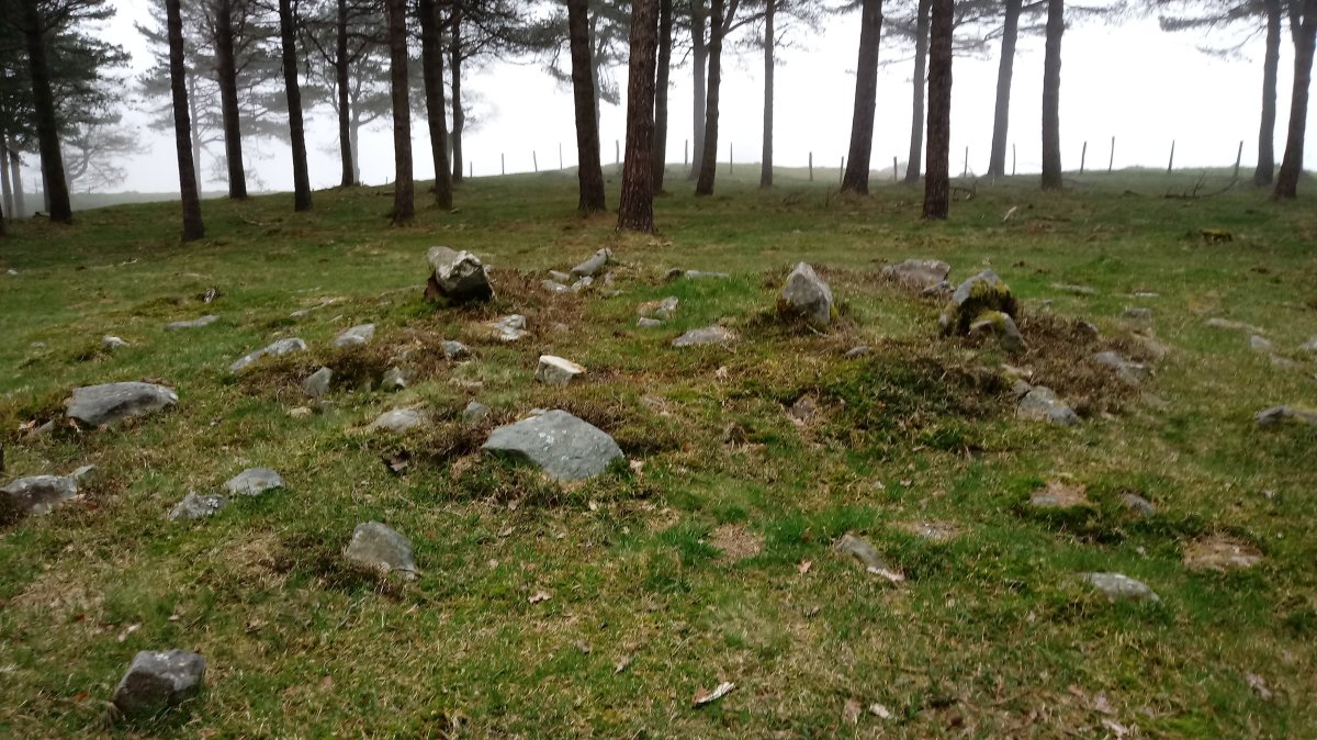 Iturzurigaña trikuharria 3