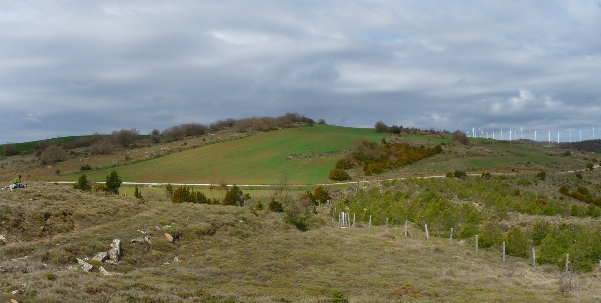 Cerros Viejos, baltsako lepotik