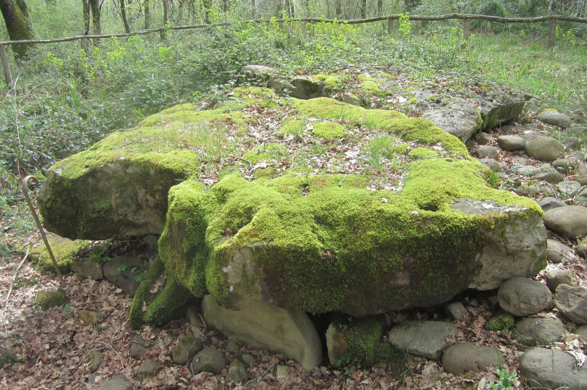 Dólmen Darre la Peyre (Abril 2018)