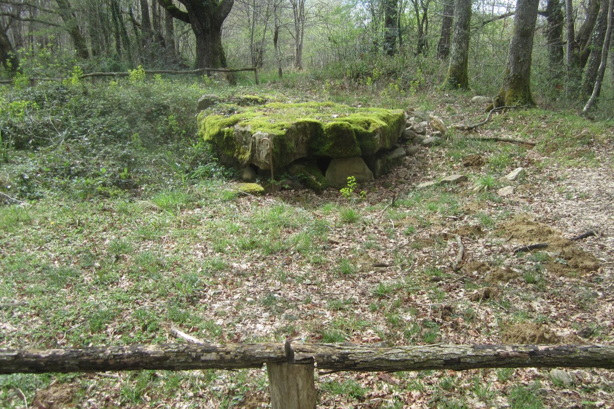 Dólmen Darre la Peyre  (Abril 2018)
