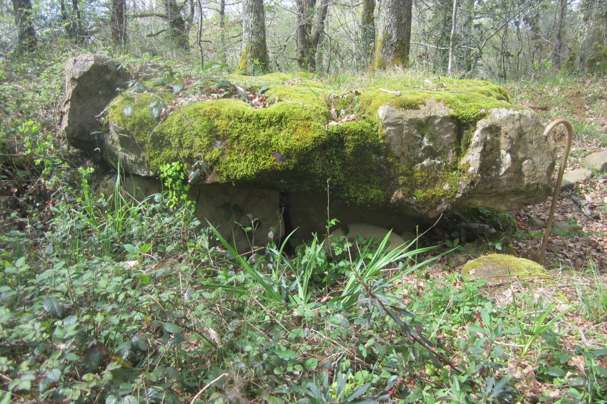 Dólmen Darre la Peyre  (Abril 2018)