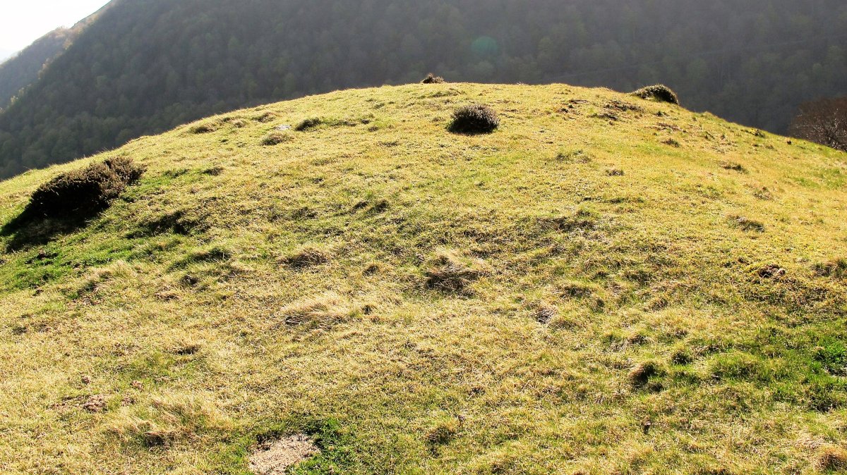 Artesiaga harrespila, Irurita-Baztan