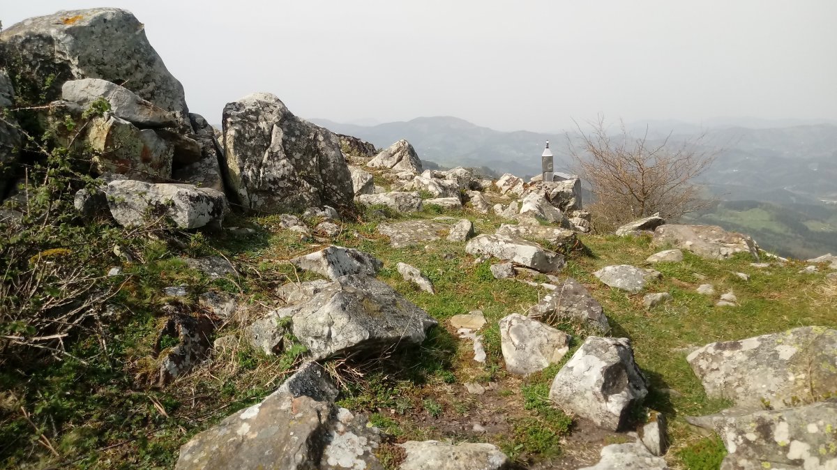 Arripillata (888) tontorra