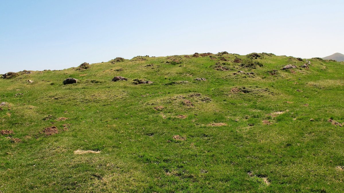 Katillegiko Lepoa Hego harrespila, Berroeta-Baztan