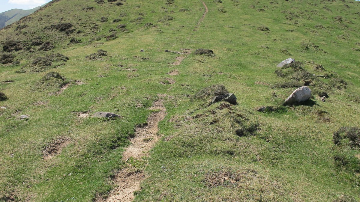Katillegiko Lepoa Ipar harrespila, Berroeta-Baztan