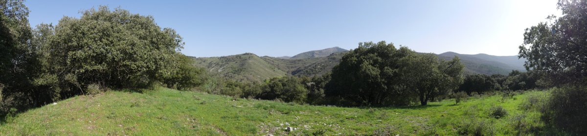 Ollarnagusi gaineko panoramika