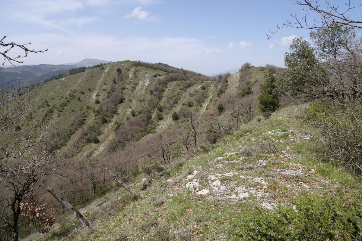 Txurbil eta Txurri arteko bideko pasartea