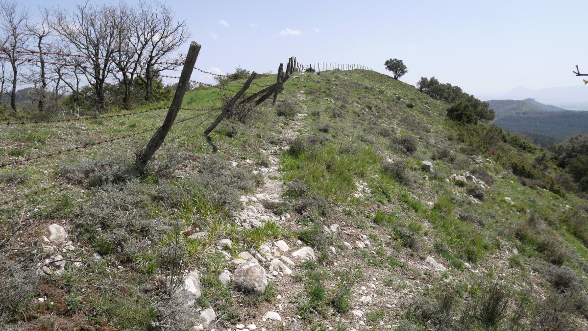 Txurritik Mendirako bideko pasartea