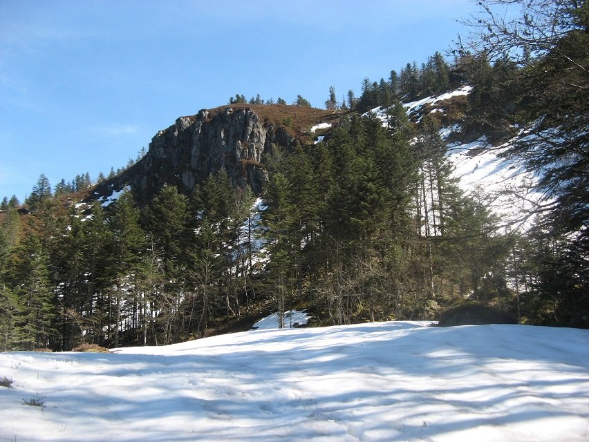 Arbuti, ipar isurialdea