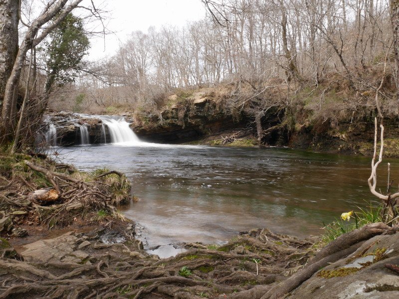 Zaldibartxo ur-jauzia