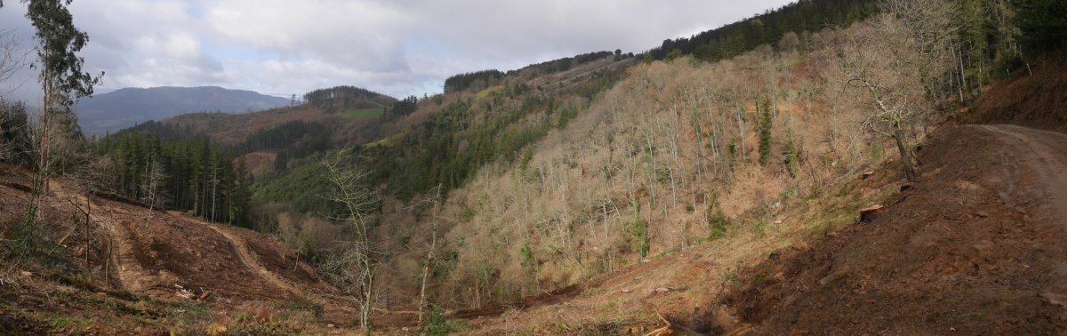 Isusi eta Otxorteta artean