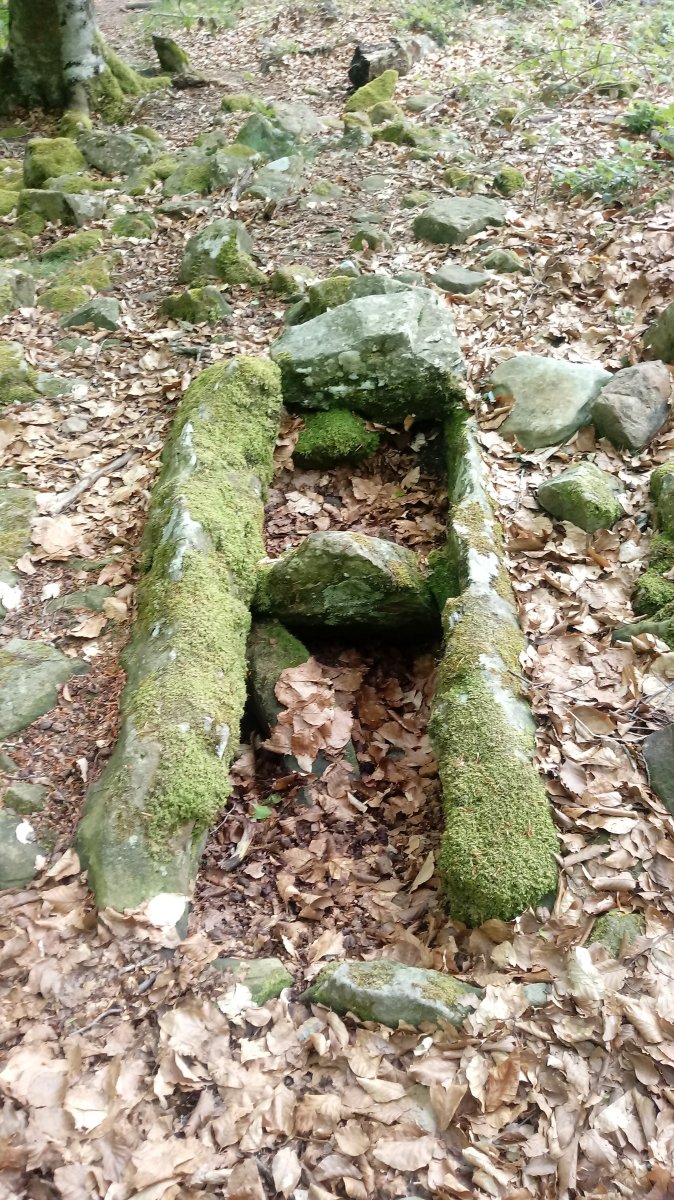 Maitzegur trikuharria (2018)