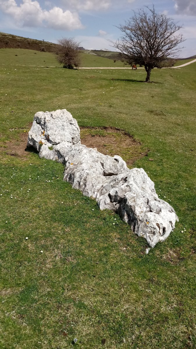 Sarasako Sakana zutarria 4