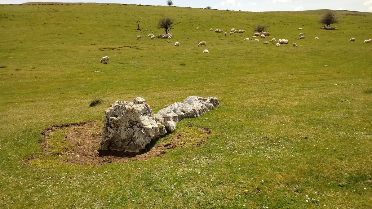 Sarasako Sakana zutarria (2018)