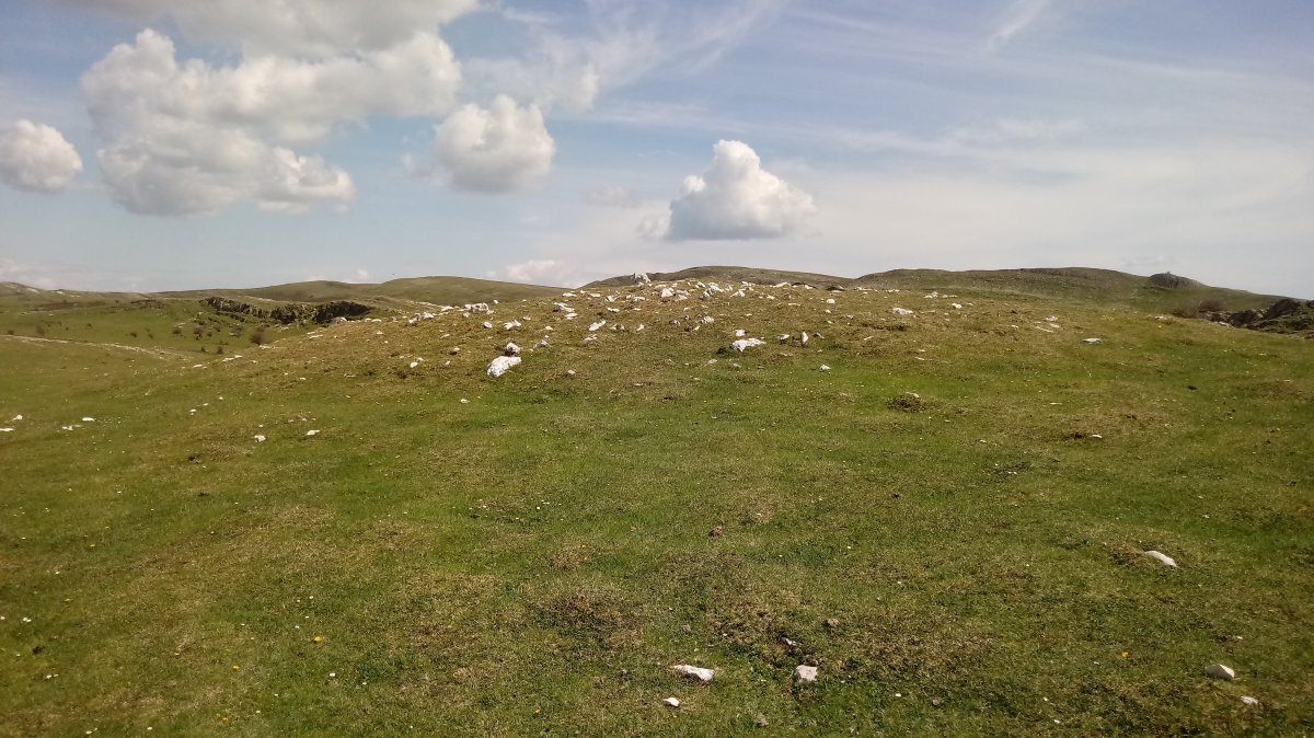 Sarasako Gañe trikuharria 4