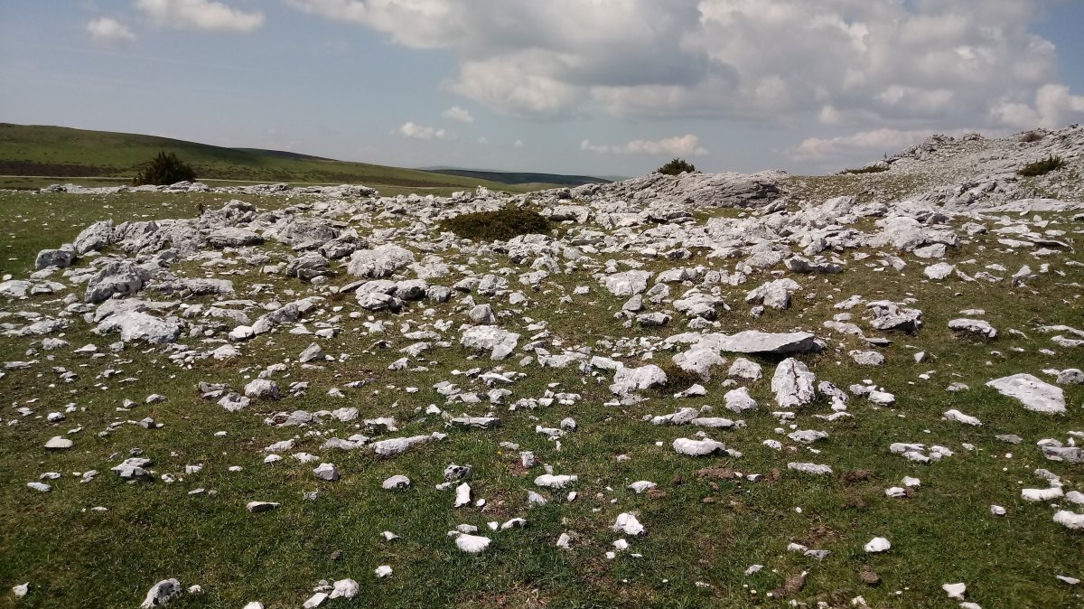 Aitzuri trikuharria 3