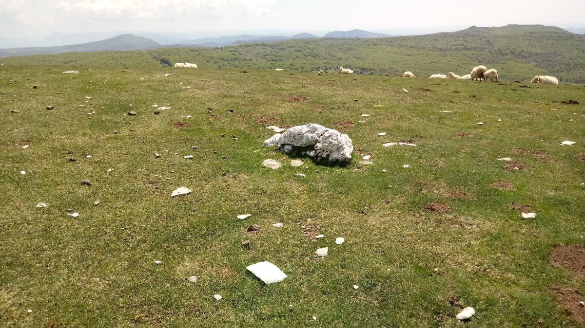 Beorzulo zutarria (2018)