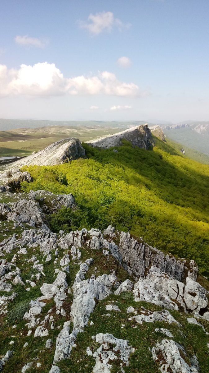 Eskalaborro mendia Pagometxetatik