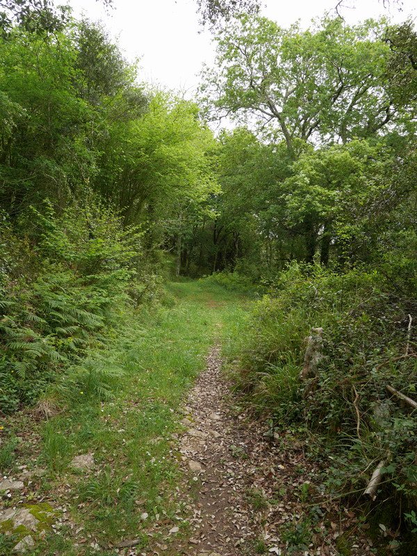 Atxarretik Gametxorantz jeisten