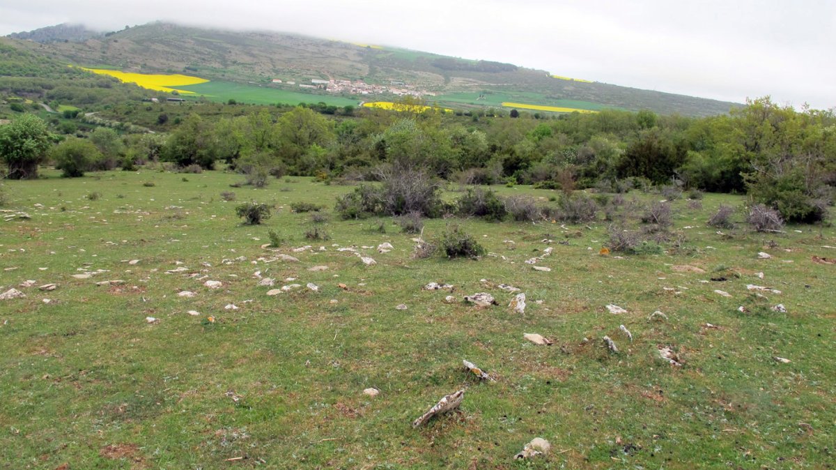 Ornaixabal tumulua, Urdotz-Goñi