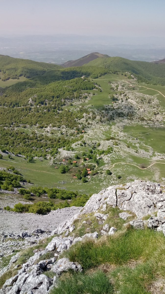 Arbelar Arbelaitzetik