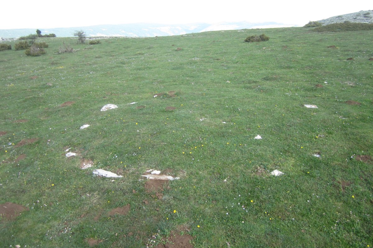 Cromlech Malkaxko (Mayo 2018)