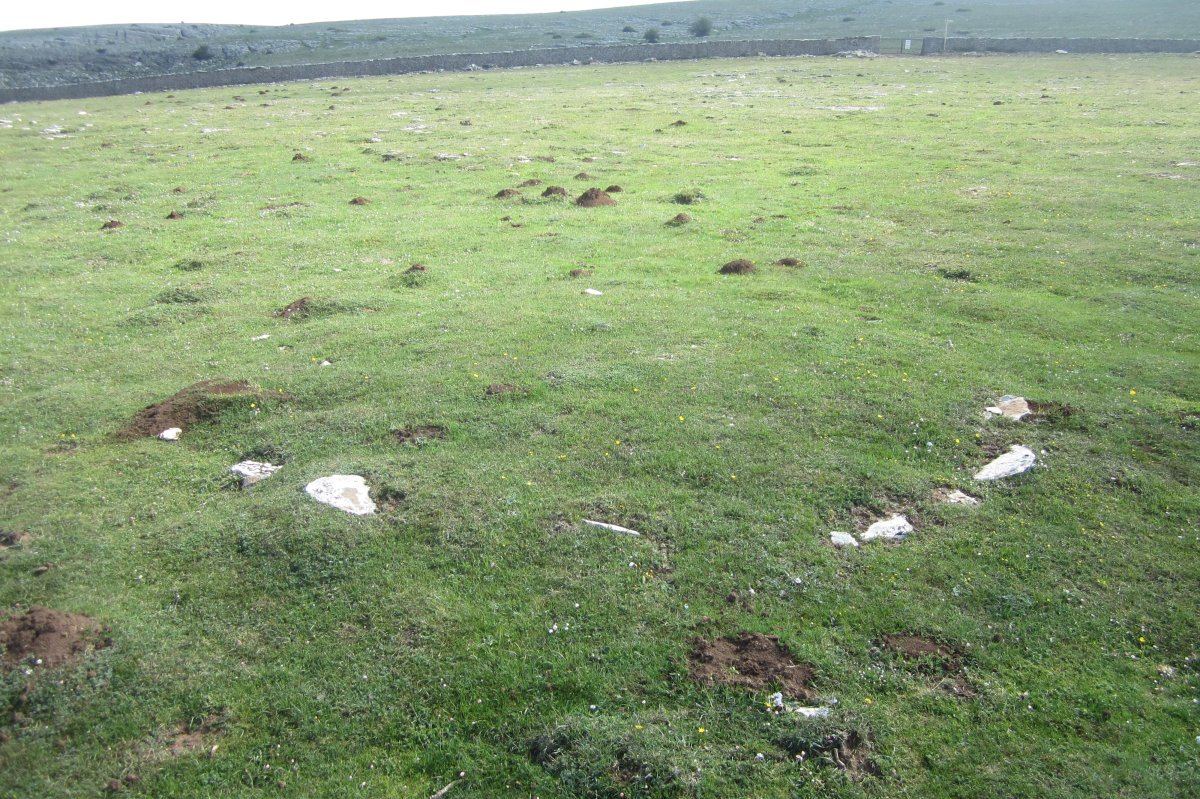 Cromlech Malkaxko  (Mayo 2018)