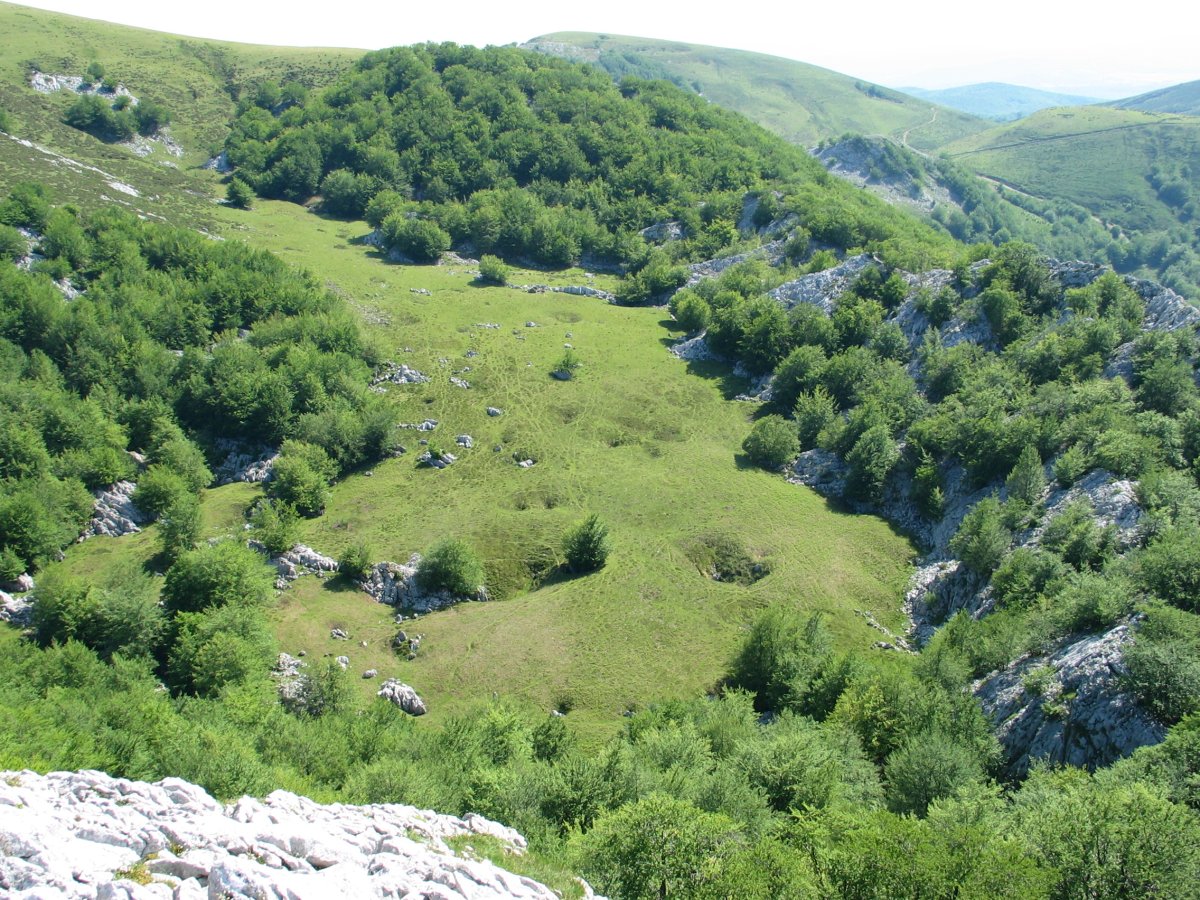 Itxingoteko larreak Altipitatxen oinean, Han