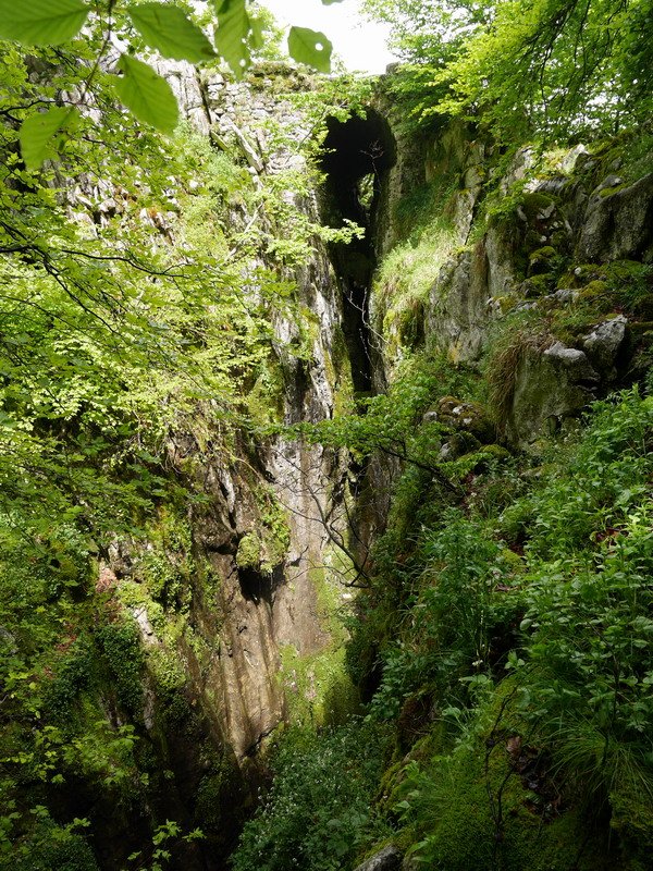 Neberabarri elur-zuloa