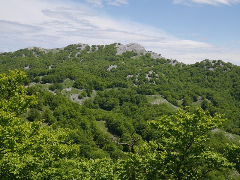 Altipitatxetik ikusita