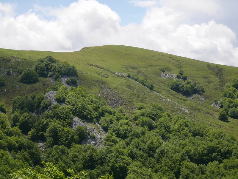 Altipitatxetik ikusita