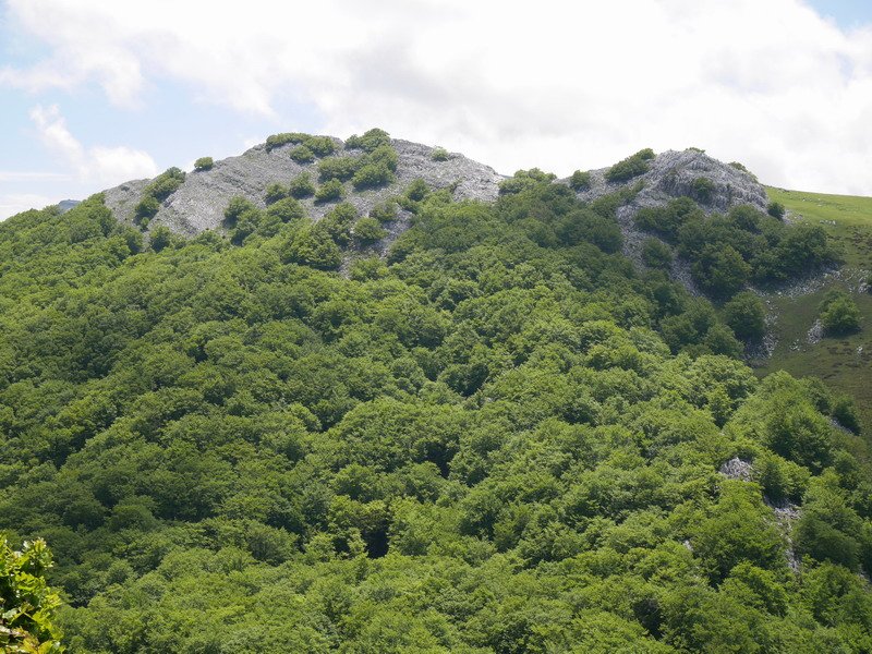 Altipitatxetik ikusita