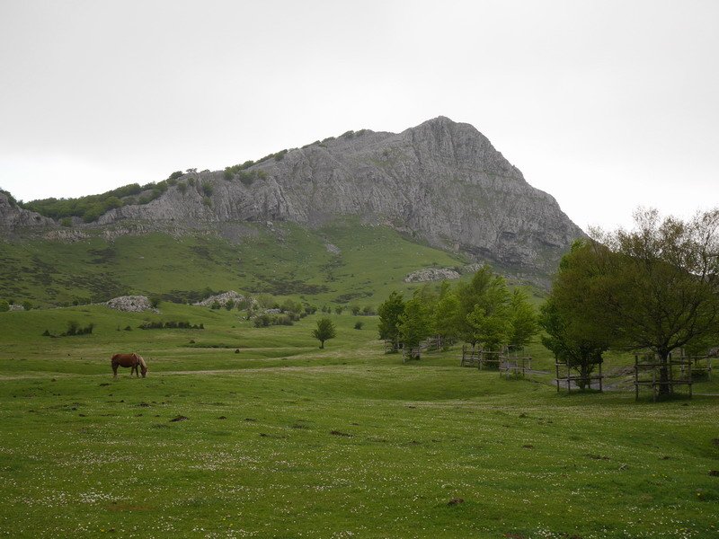 Lekanda Arrabatik ikusita