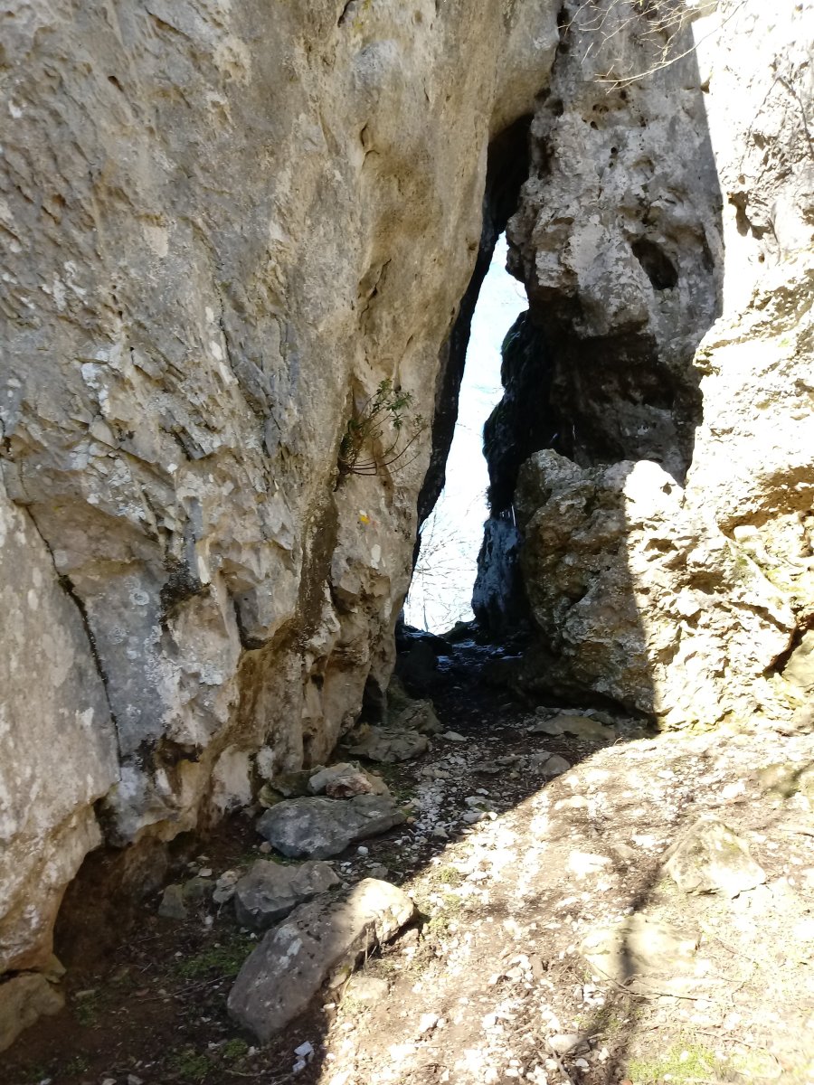 Aitznardako pasabidea