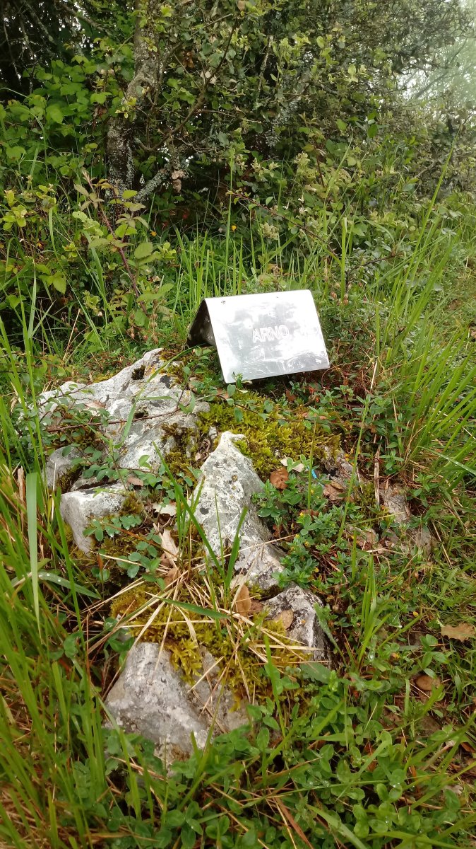 Banderako Puntea (616m) postontzia