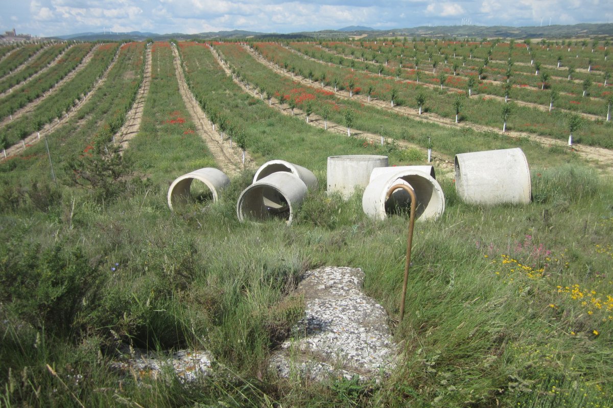 Monolito Genzelaia  (Junio 20018)