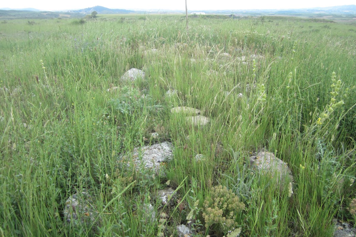 Túmulo Genzelaia 4 (Junio 2018)