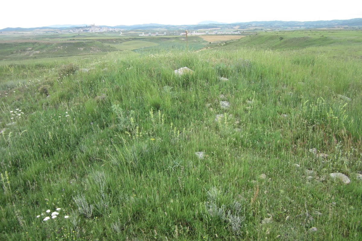 Túmulo Genzelaia 4  (Junio 2018)