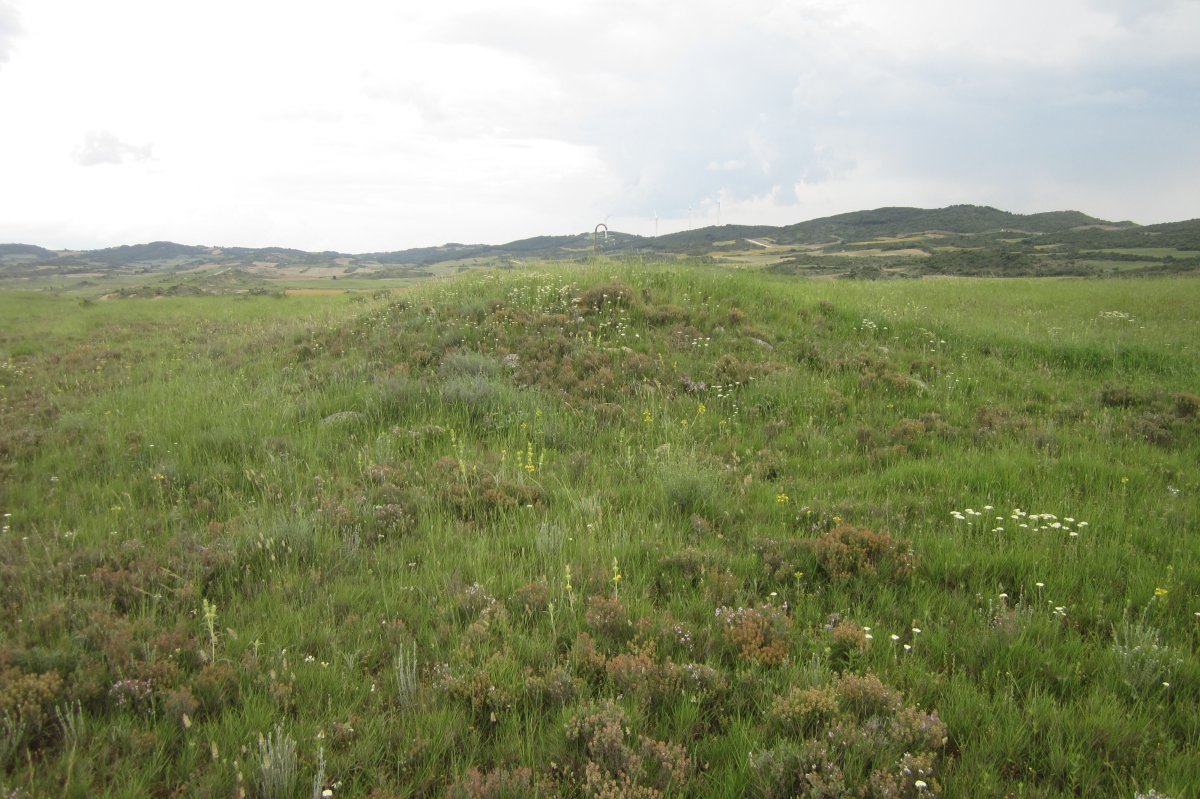 Monolito Genzelaia  (Junio 20018)