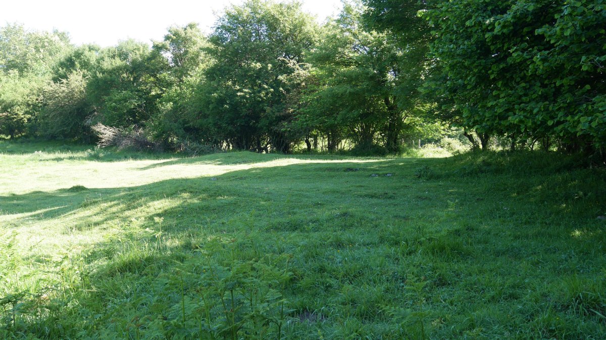 Atume eremu tumularra 2