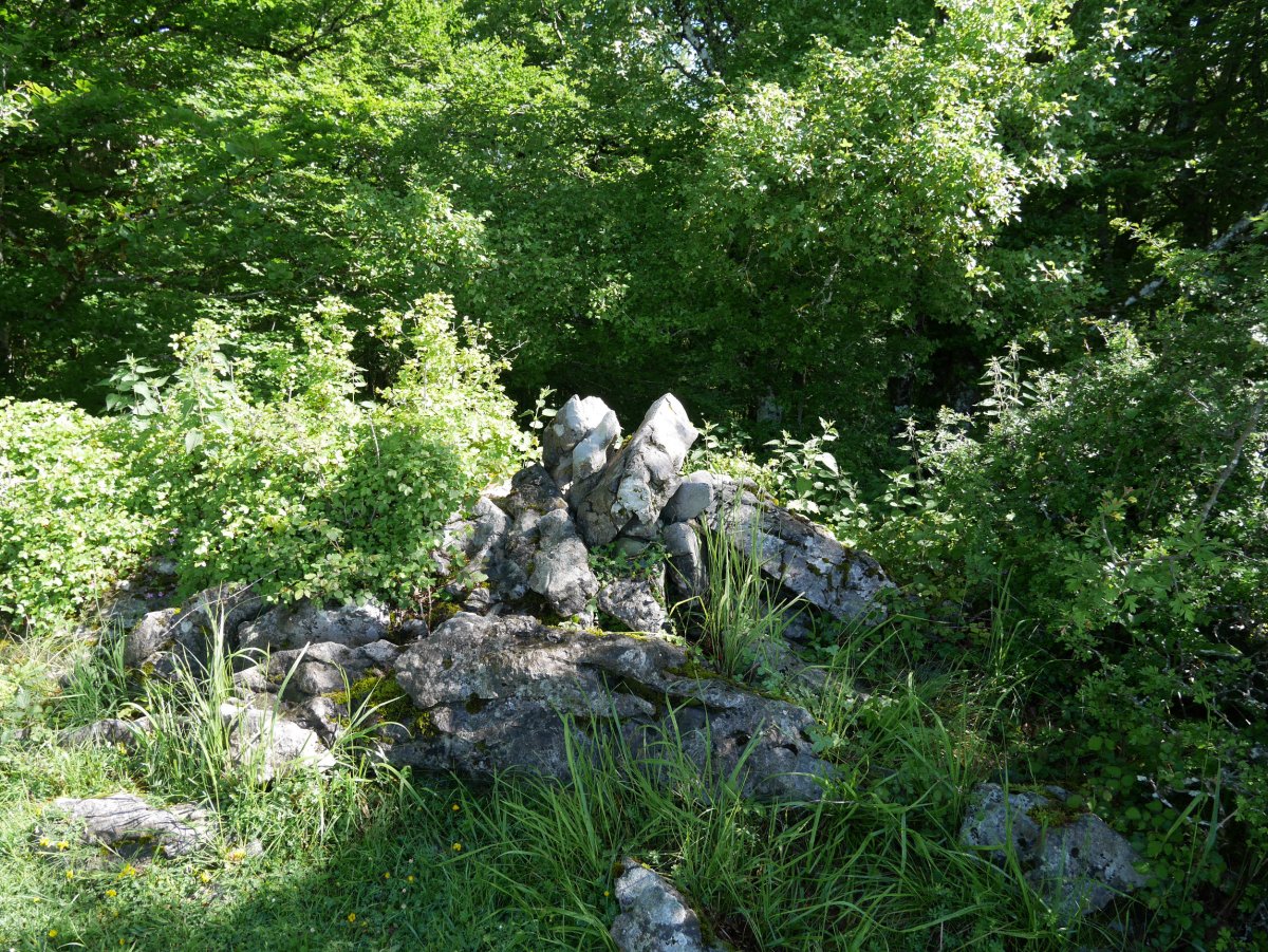 Irumuga tontorreko harripila