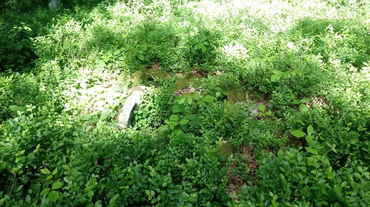 Aizaleku trikuharria 3