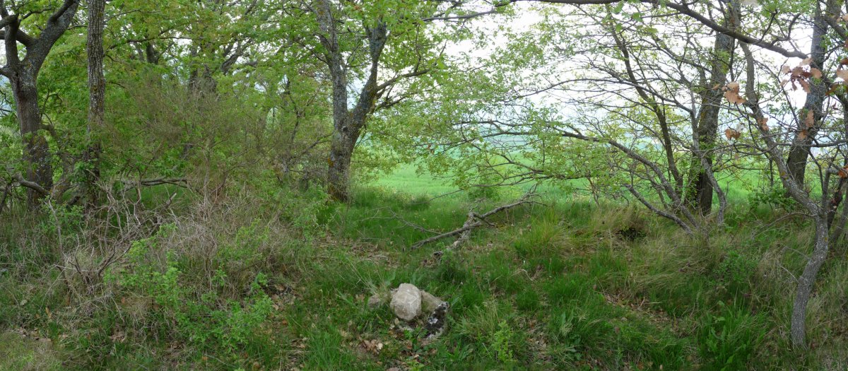 San Kristobalgo gailur xumea