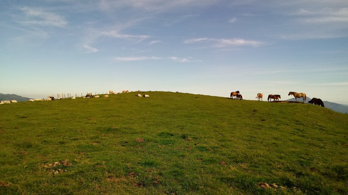 Behordegi (1149m) gaina