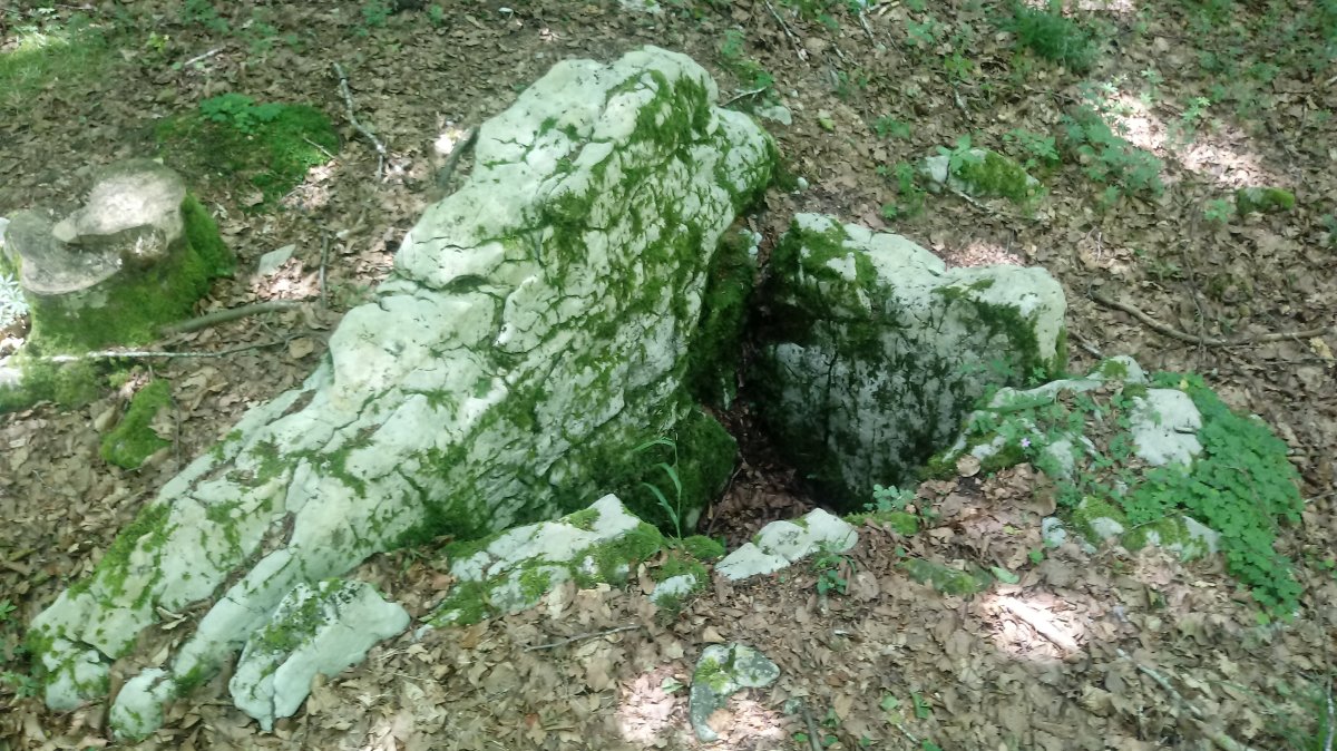 Arregi trikuharria 2