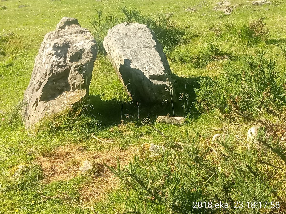 Odiego I Ipar trikuharria 5