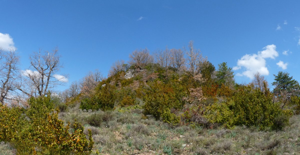 Gailurra, hegoaldetik